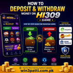 deposit money on Hi309 game