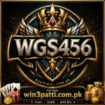 WGS456 game offical features image .