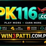 PK116 game offical features image