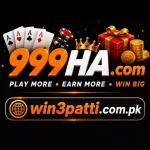 999HA.COM offical features images.